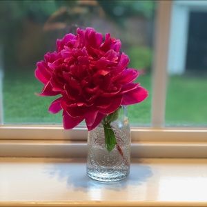 Meet your Posher, Beth